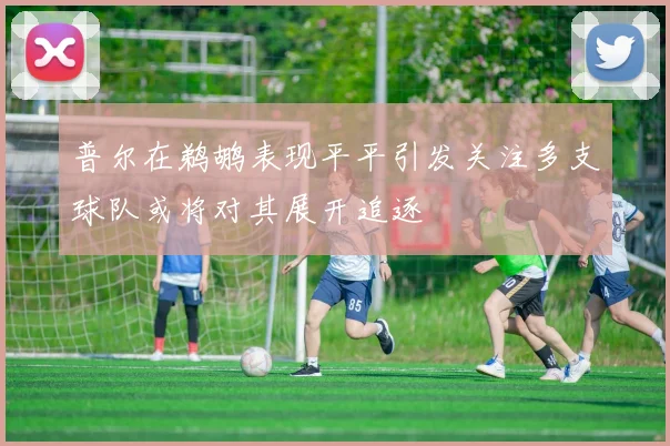 普尔在鹈鹕表现平平引发关注多支球队或将对其展开追逐