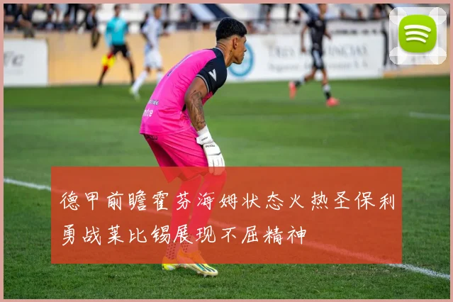 德甲前瞻霍芬海姆状态火热圣保利勇战莱比锡展现不屈精神